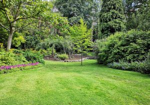 Optimiser l'expérience du jardin à Villecey-sur-Mad